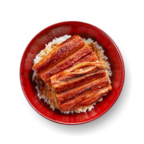 unagi fish