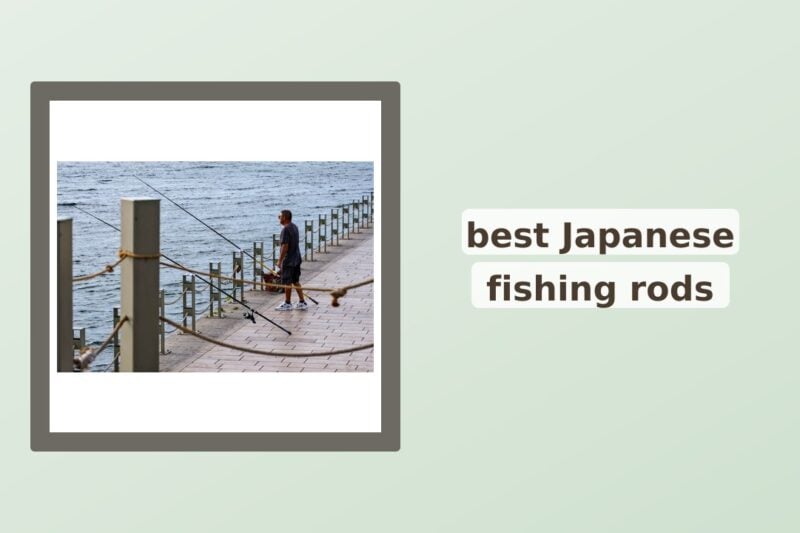 The 2026 Guide to Authentic Japanese Fishing Rods: Where to Buy JDM Gear